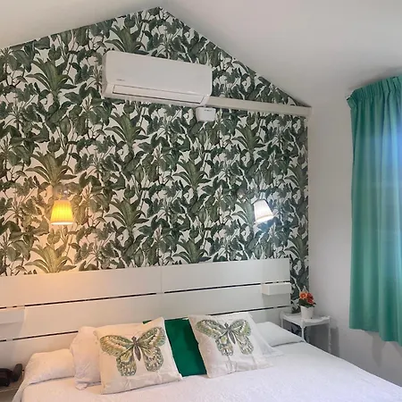 Flor Bungalo 42 La Gema Del Sur *