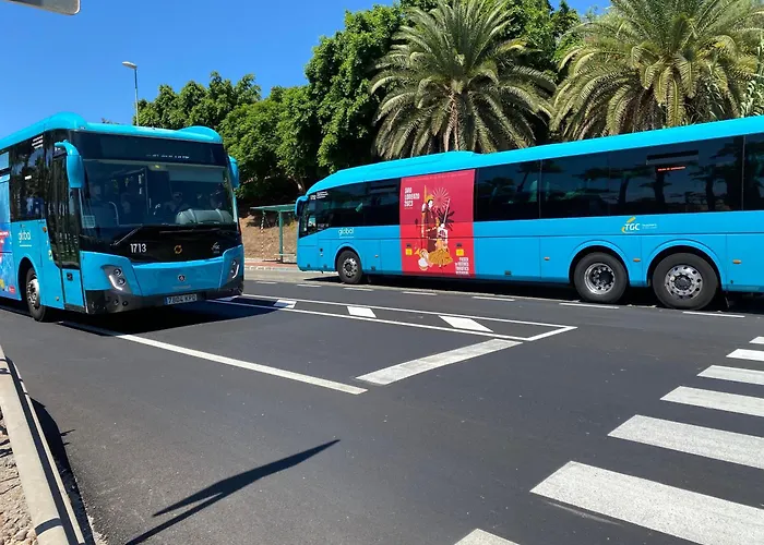 Apartamento Flor 42 La Gema Del Sur Maspalomas (Gran Canaria)