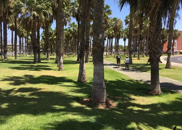 Apartamento Flor 42 La Gema Del Sur Maspalomas (Gran Canaria)