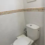 Flor Bungalo 42 La Gema Del Sur マスパロマス